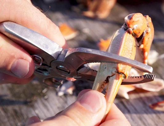 Toadfish Crab Cutter